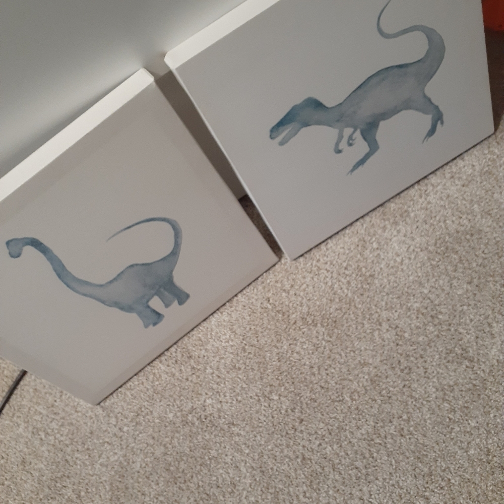 Boys dinosaur picture set